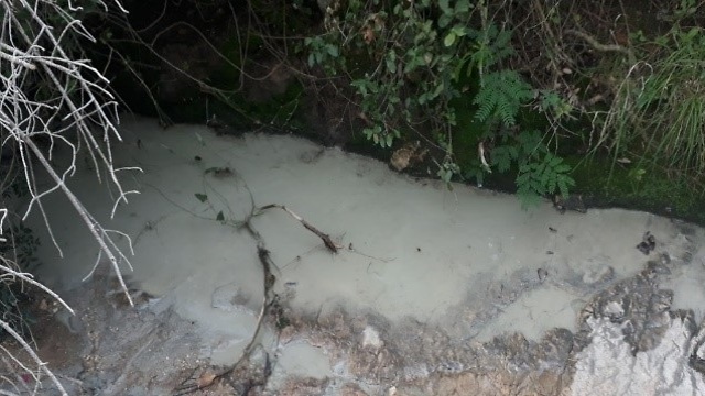 מפגע בנחל זיו (צילום: יאיר אלקון, החברה להגנת הטבע)