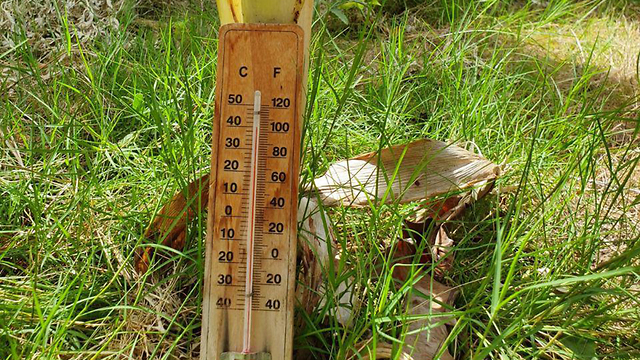 Замер температуры на Голанских высотах. Фото: Авив Лешем