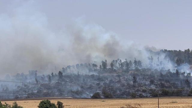 A wildfire burns in the Valley of Elah near Modi'in (Photo: Kobi Koankas)