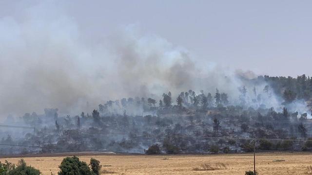 Пожар в Эмек ха-Эла. Фото: Коби Коанкес