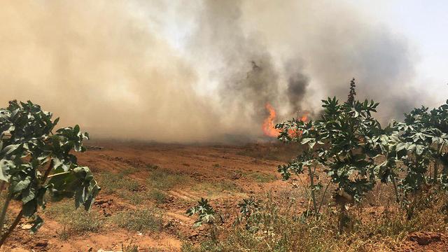 שריפה שריפות רמת פנקס אור יהודה (צילום: משטרת ישראל)