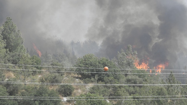 שריפה ליד אדרת (צילום: חורחה נובומינסקי )