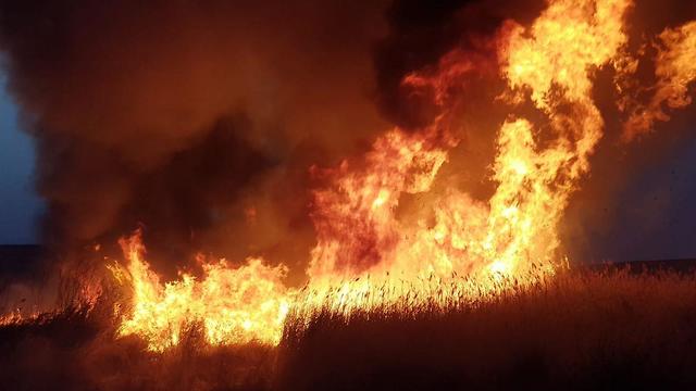 Пожар в Рахате. Фото: пожарная служба