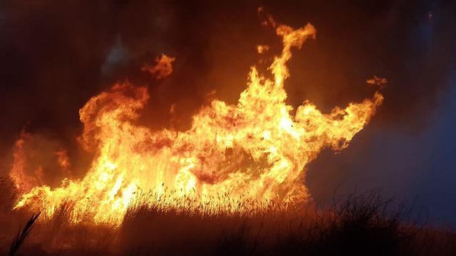 שריפת קוצים ברהט (צילום:  דוברות כבאות והצלה נגב)