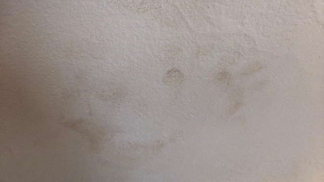Номер 723 в отеле на Кипре: отпечаток руки на стене