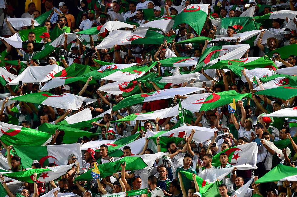 אוהדי אלג'יריה (צילום: AFP)