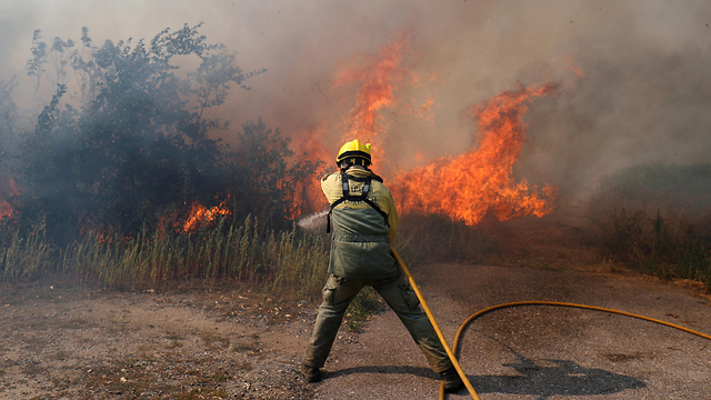שריפות  שריפה  פורטוגל (צילום: רויטרס)