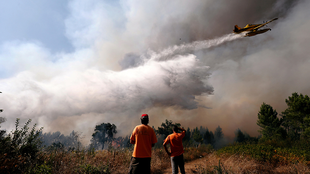 שריפות  שריפה  פורטוגל (צילום: רויטרס)