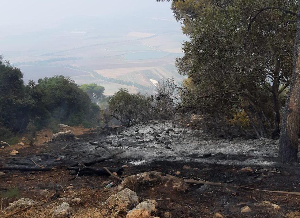 נזק השריפה בהר תבור (צילום: סטודיה טרה סנטה)