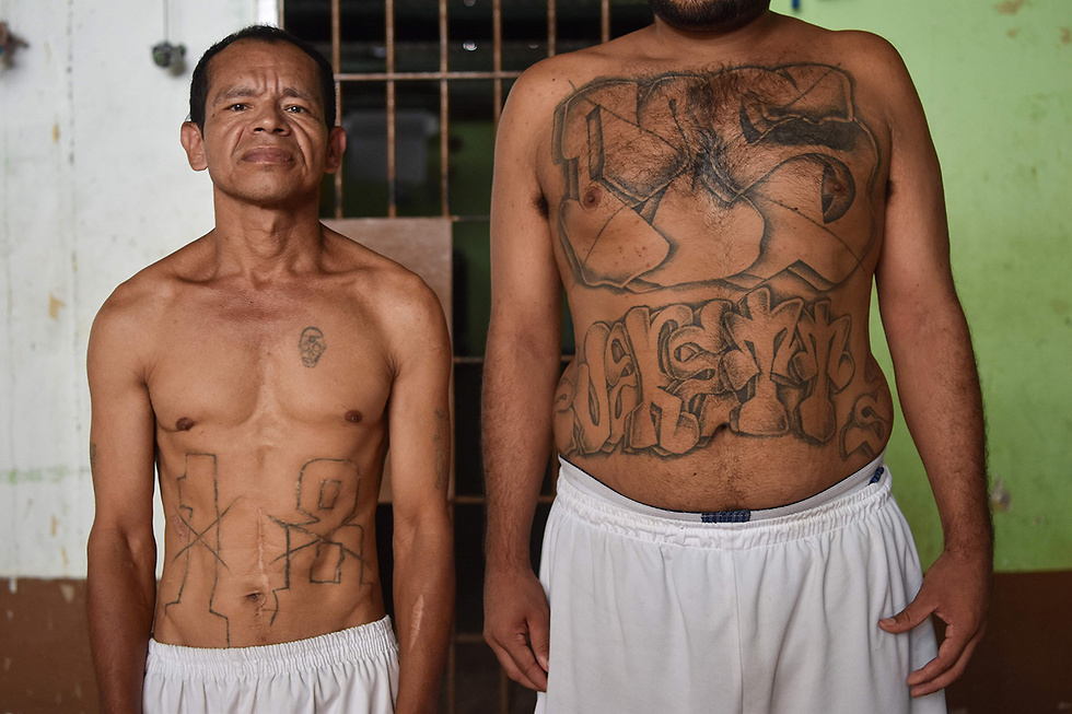 חברי הכנופיה הלטינית 13-MS בית כלא ב סן סלבדור בירת אל סלבדור (צילום: AFP)