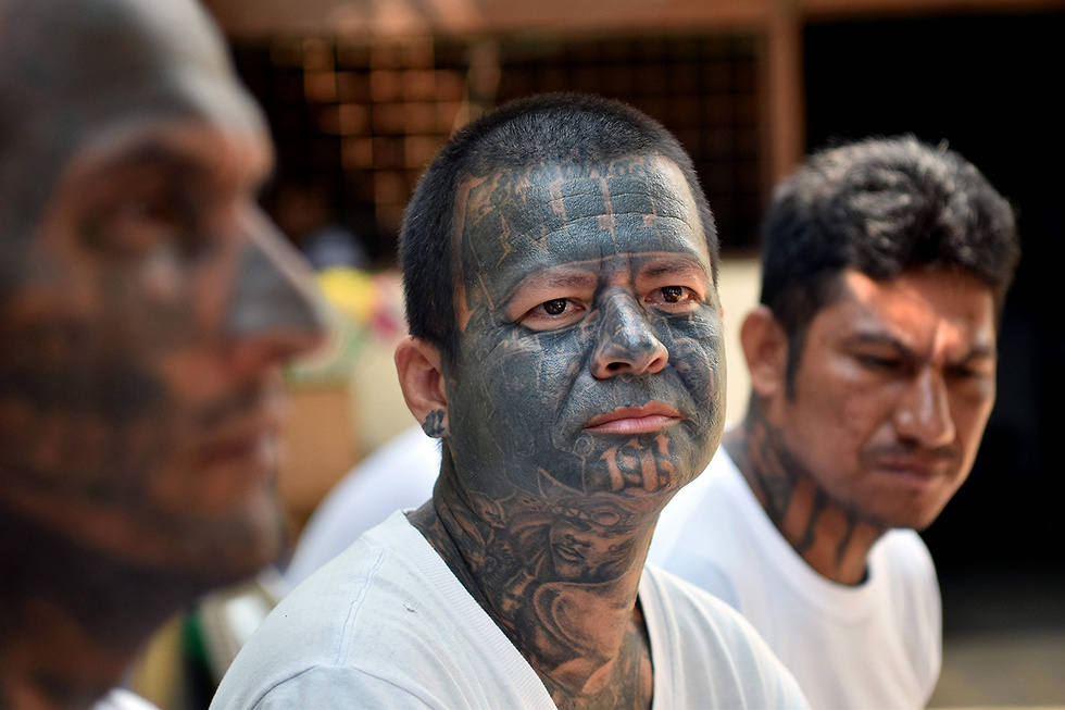 חברי הכנופיה הלטינית 13-MS בית כלא ב סן סלבדור בירת אל סלבדור (צילום: AFP)