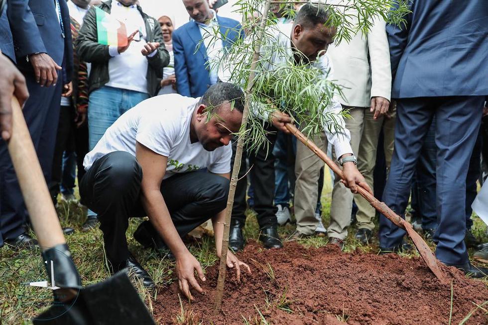 אתיופיה שתילת עצים אביי אחמד ()