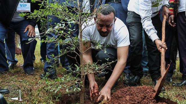 אתיופיה שתילת עצים אביי אחמד ()