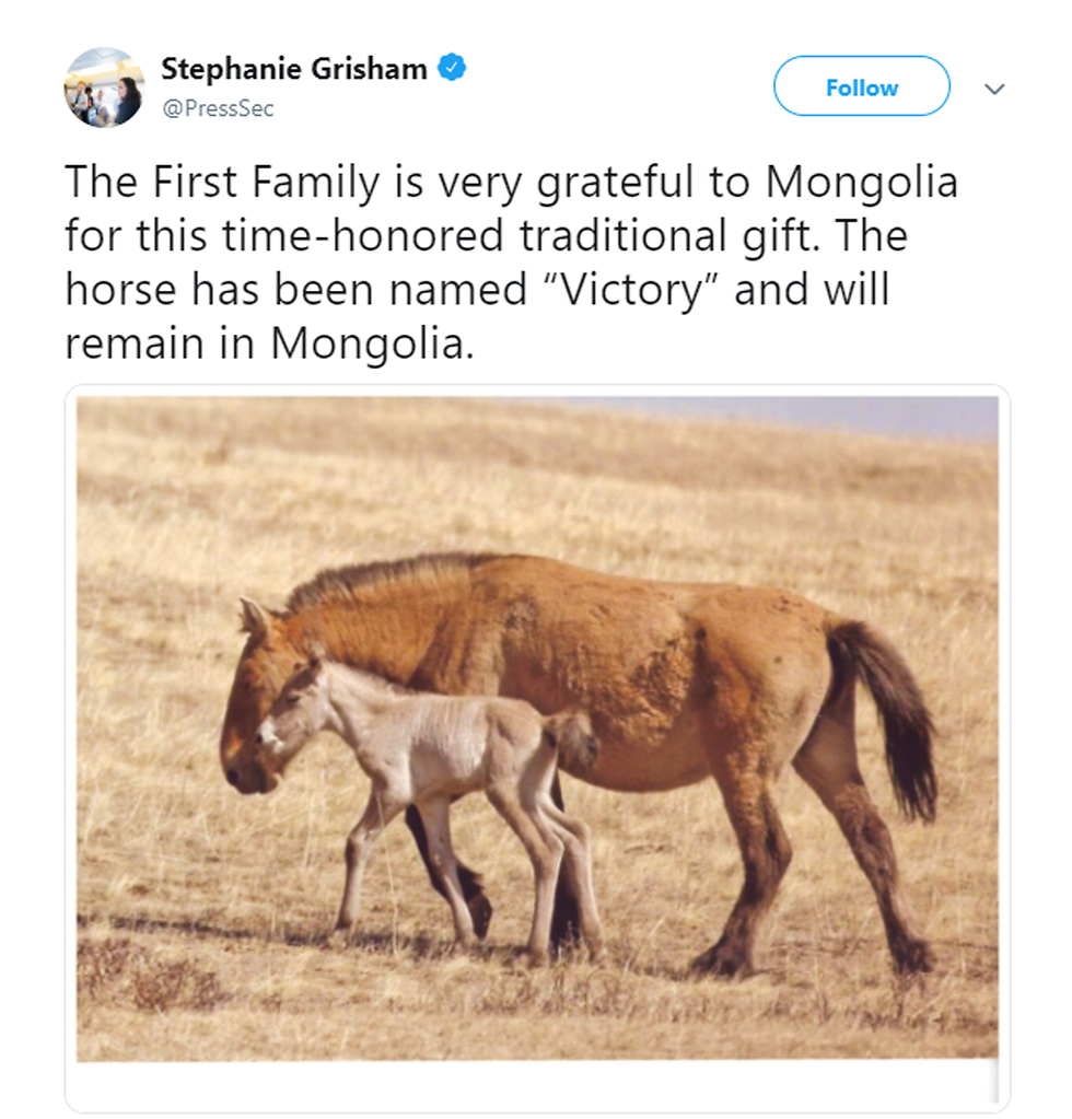 נשיא מונגוליה העניק סוס במתנה לדונלד טראמפ ()