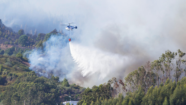 שריפה האיים הקנריים ספרד גראן קנרייה  (צילום:  רויטרס)