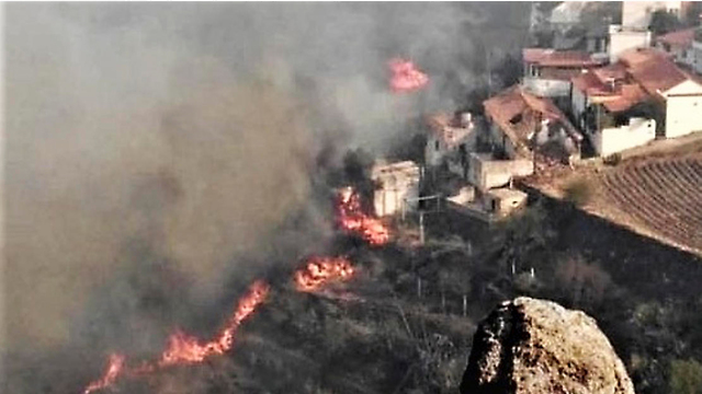 שריפה האיים הקנריים ספרד גראן קנרייה  (צילום:  AP)