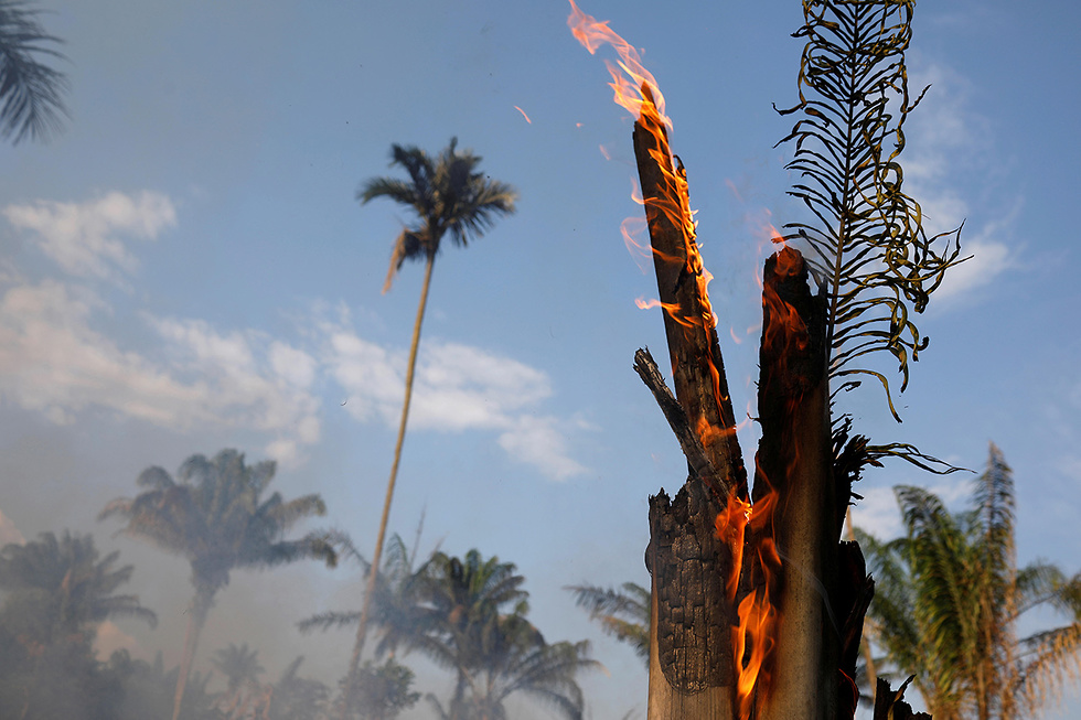 ברזיל שריפות ב אזור ה אמזונס שטח אש  (צילום: רויטרס)