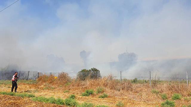 שריפת הקוצים שמתחוללת בשדה ליד כביש 40 (צילום: רכבת ישראל)