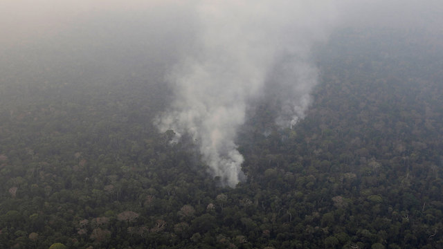 ברזיל שריפות ב אזור ה אמזונס תמונת לוויין (צילום: רויטרס)