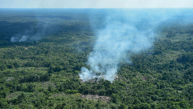 ברזיל שריפות ב אזור ה אמזונס תמונת לוויין (צילום: MCT)