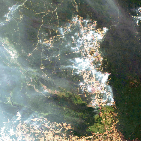 צילום לוויין של אזור האסון