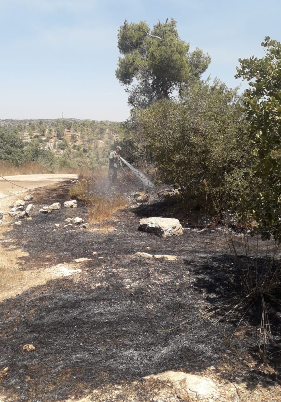 Fire near Moshav Mata (Photo: Zion Bitton, KKL)