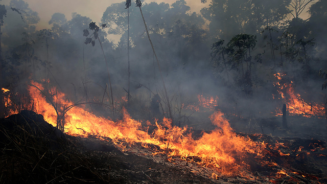 ברזיל שריפת שריפה אמזונס (צילום: AP)