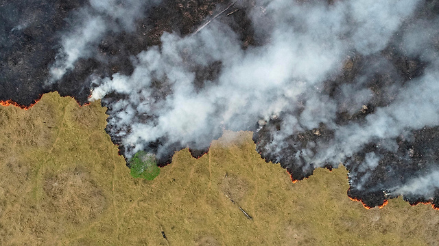 ברזיל שריפת שריפה אמזונס (צילום: רויטרס)