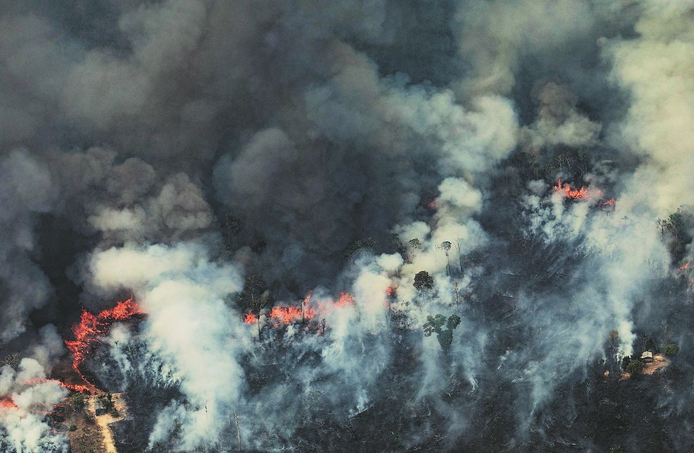 האמזונס נשרף (צילום: AFP)
