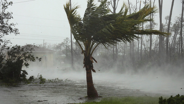 סופה הוריקן דוריאן (צילום: AP)