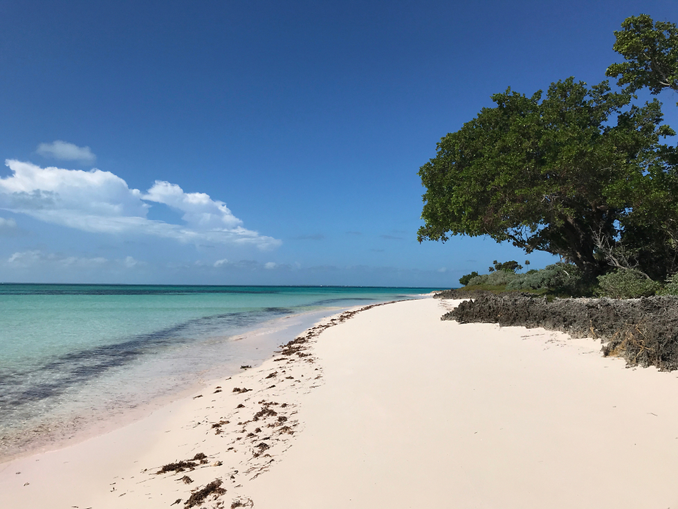 החוף של איי אבקו (צילום: Shutterstock)