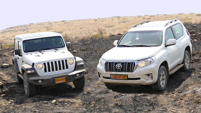 צילום: ניר בן זקן צילום: ניר בן זקן