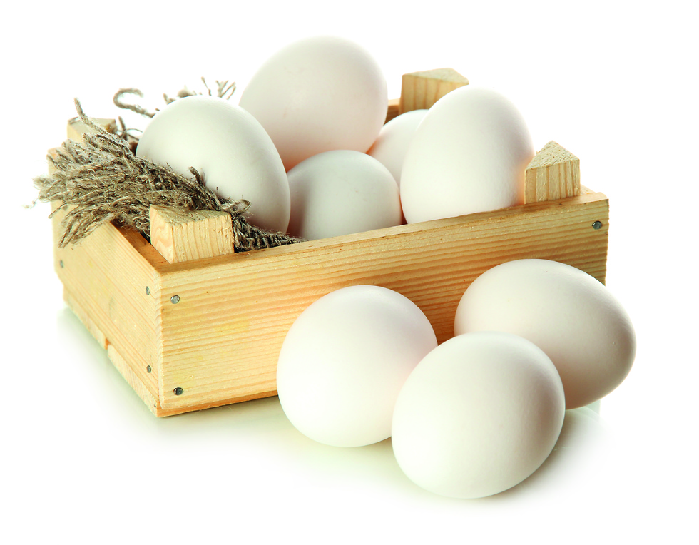 ביצים (צילום: Shutterstock)