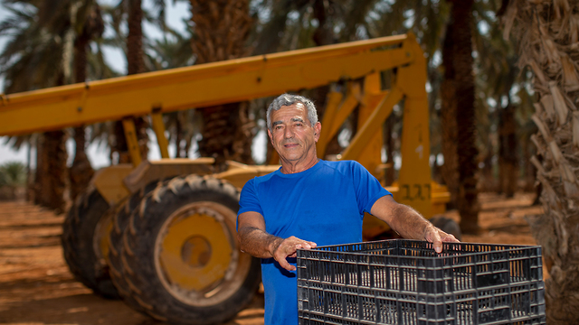 גדי בלומנפלד בקעת הירדן סיפוח חקלאי חקלאות  (צילום: אוהד צויגנברג)