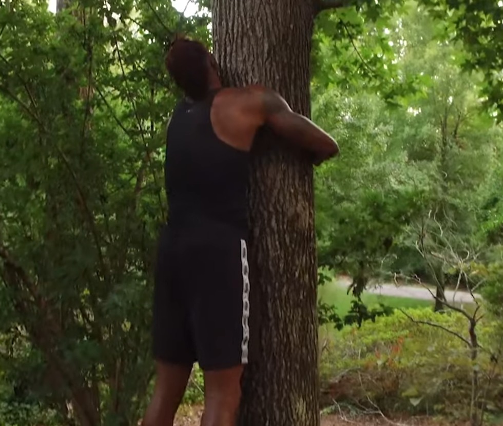 הווארד מחבק את העץ (צילום מסך)