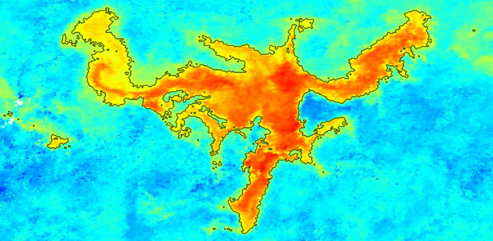 תמונת לויין המראה את הצורה המרחבית של פריחת אצות מיקרוסקופיות - פיטופלנקטון -המתפרסת על פני שטח של אלפי קילומטרים בצפון האויקיינוס הפאסיפי.  (צילום מסך)