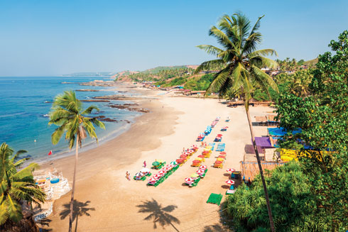 כ-8 שעות של טיסה ישירה יקרבו אתכם לחופים, לקולינריה ולטבע המיוחד של דרום הודו  (צילום: Shutterstock)