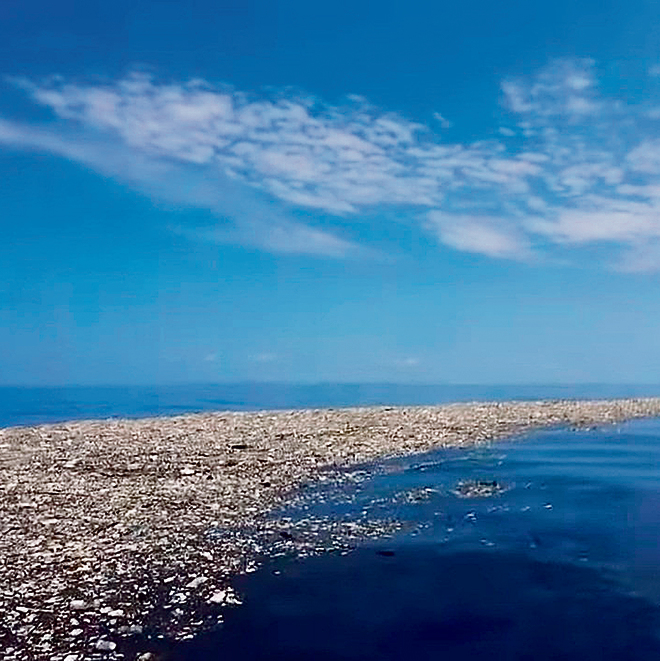 ככל שנכנסים לעומק הים, כך הפלסטיק מתפורר לחתיכות קטנות ומסכן יותר את בעלי החיים | צילום: telesur , מתוך יוטיוב