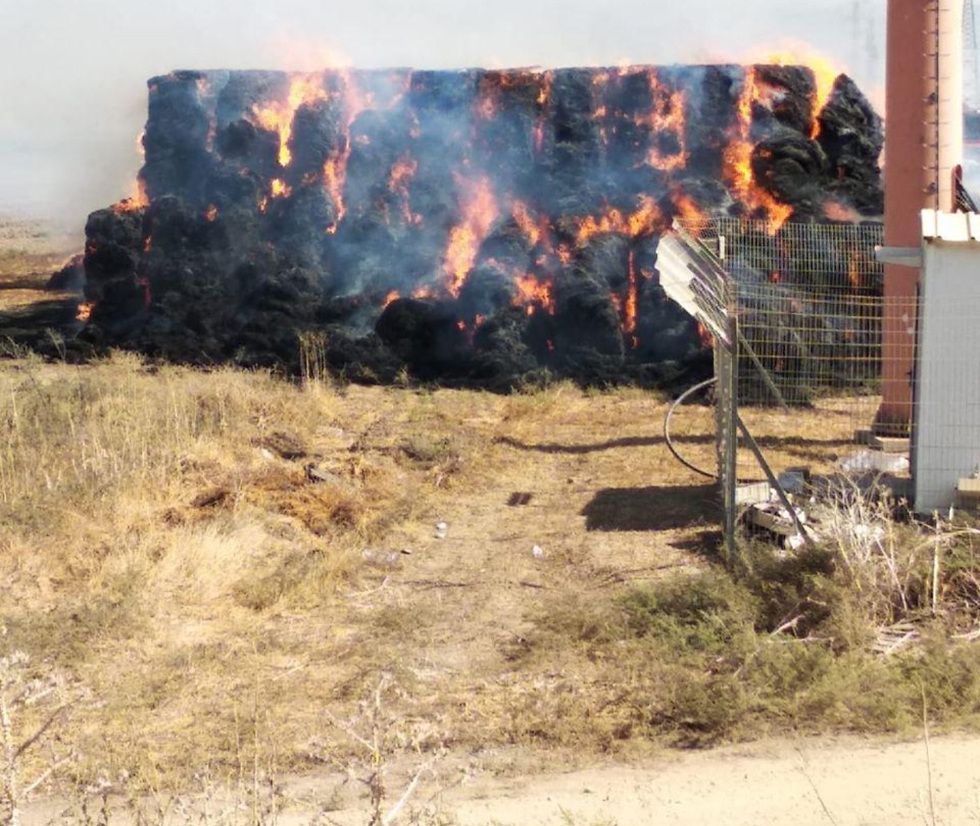 שריפה בשטחים חקלאים סמוך לקיבוץ בית אלפלא (צילום: המועצה האזורית גלבוע)