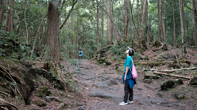 יפן יער ההתאבדויות אאוקיגהארה שלט למניעת התאבדות (צילום: shutterstock)