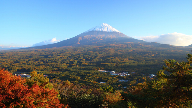 יפן יער ההתאבדויות אאוקיגהארה ו הר פוג'י (צילום: shutterstock)