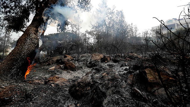 שריפות ענק בלבנון (צילום: AFP)