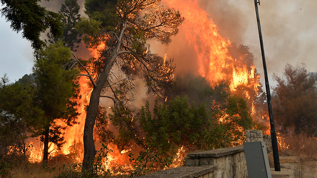 שריפות ענק בלבנון (צילום: EPA)