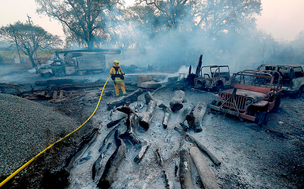 שריפות בהילדסבורג, קליפורניה (צילום: MCT)