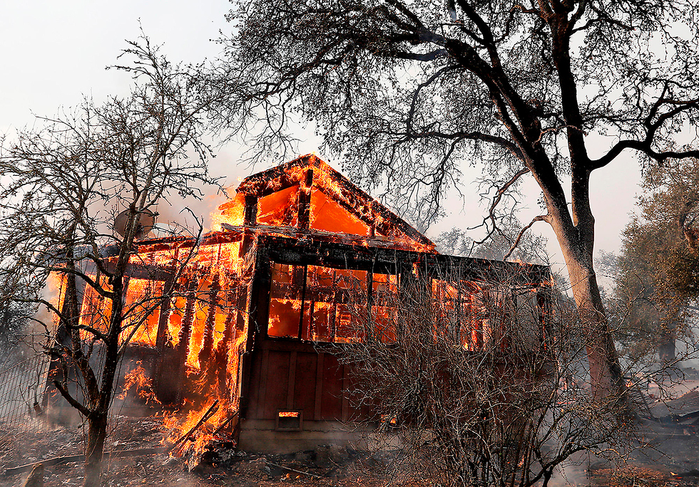 שריפות בהילדסבורג, קליפורניה (צילום: MCT)