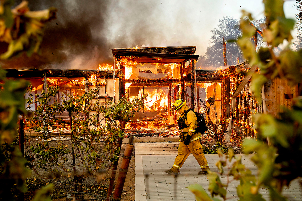 שריפות בהילדסבורג, קליפורניה (צילום: AP)