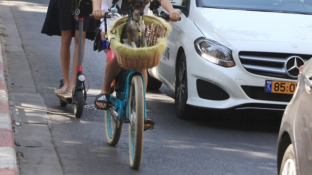 שלומית מלכה שביט ויזל פפראצי אופניים קורקינט קסדה (צילום: מוטי לבטון)