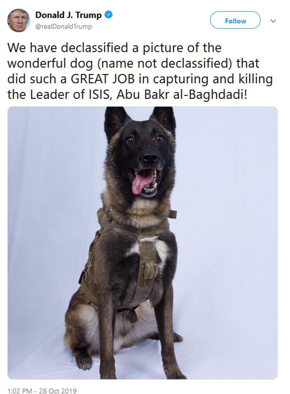 דונלד טראמפ חשף את תמונת ה כלב שנלחם ב אבו בכר אל בגדדי מנהיג דאעש ()