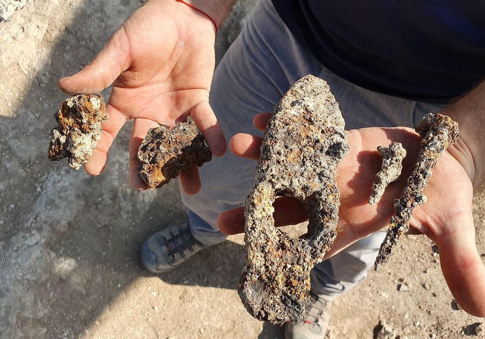 The 1,400-year-old iron hammer and nails that were found at Usha (Photo: Israel Anitiquity Authority)
