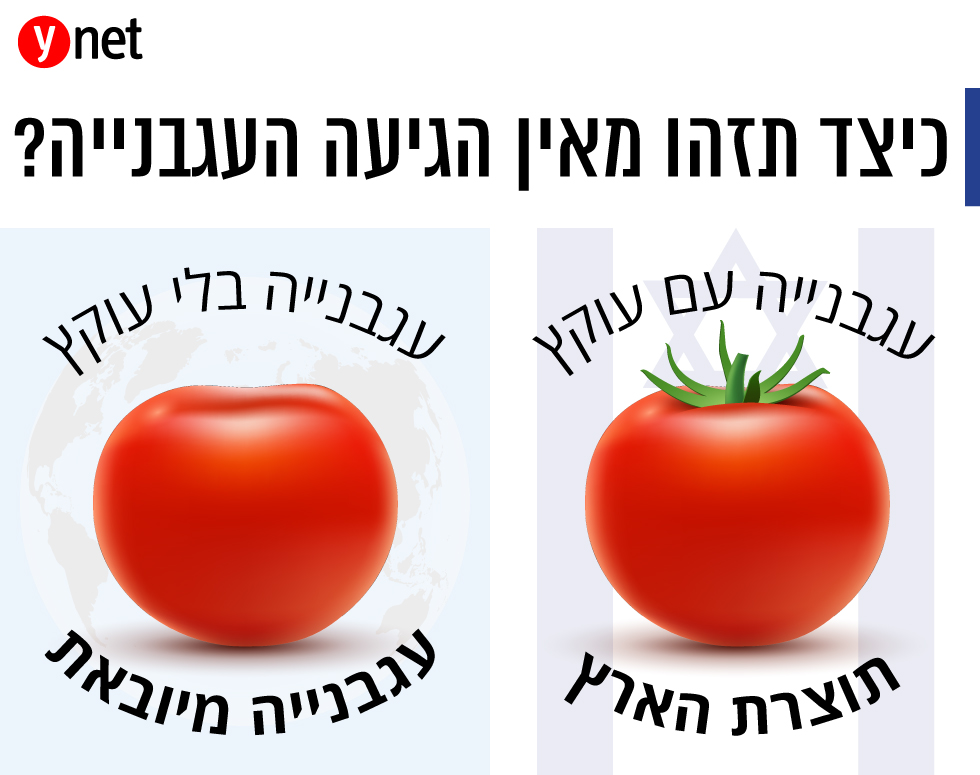 Справа на картинке израильский помидор с плодоножкой, слева - импортный